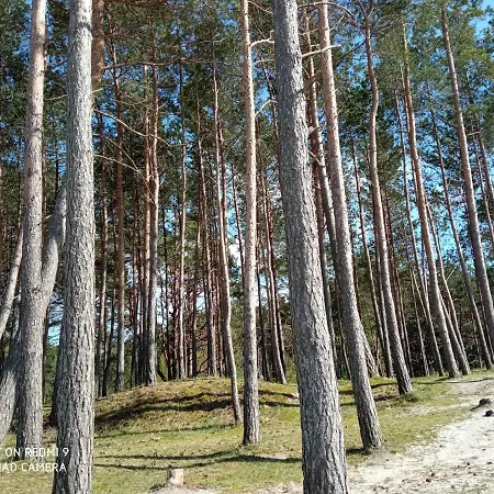Lägenhet Nadmorski Sunset W Stegnie - Mierzeja Wislana