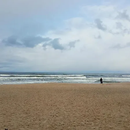 Nadmorski Sunset W Stegnie - Mierzeja Wislana * ステグナ