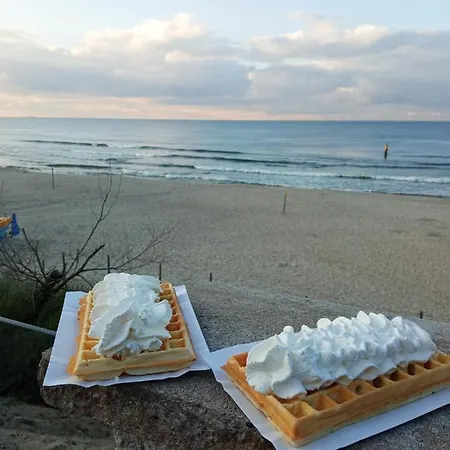 アパート Nadmorski Sunset W Stegnie - Mierzeja Wislana *