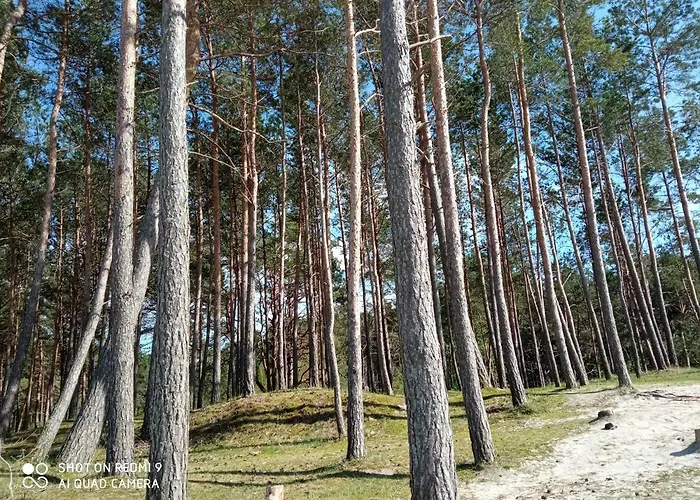 Apartament Nadmorski Sunset W Stegnie - Mierzeja Wiślana